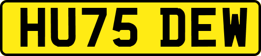 HU75DEW