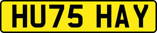 HU75HAY