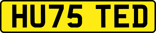 HU75TED