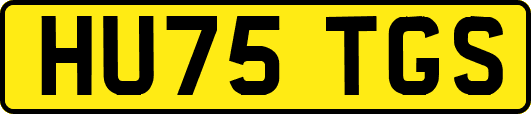 HU75TGS