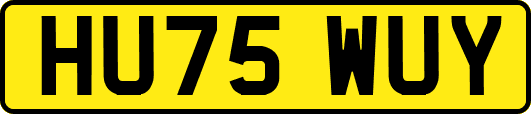 HU75WUY