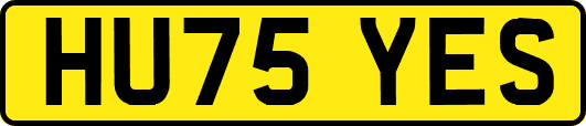 HU75YES