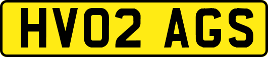 HV02AGS
