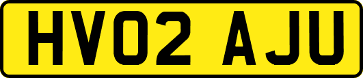 HV02AJU