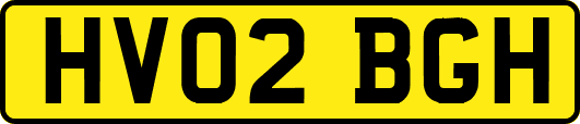 HV02BGH