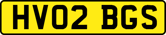 HV02BGS