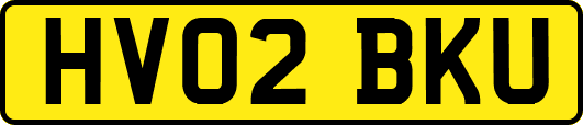 HV02BKU
