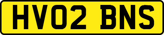 HV02BNS