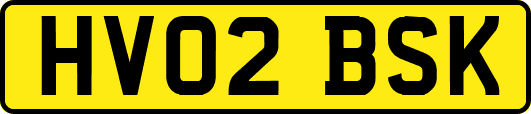HV02BSK