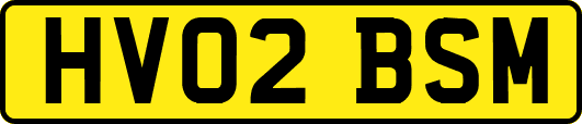 HV02BSM