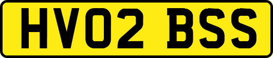 HV02BSS