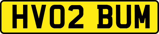 HV02BUM