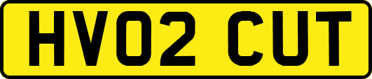 HV02CUT