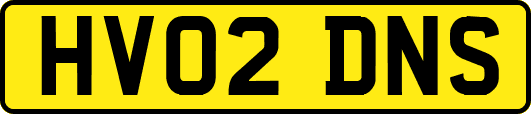HV02DNS