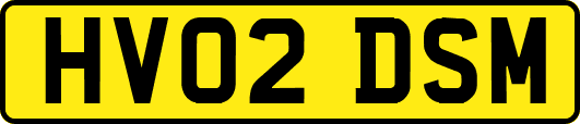 HV02DSM