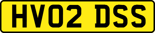 HV02DSS