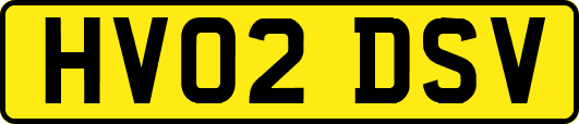 HV02DSV