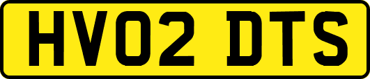 HV02DTS