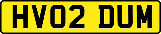 HV02DUM