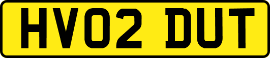 HV02DUT