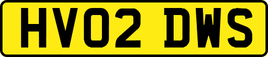 HV02DWS