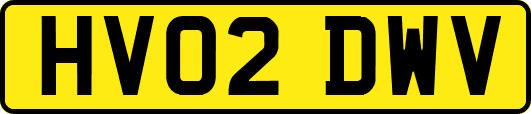 HV02DWV