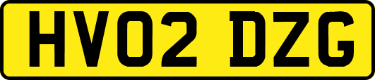 HV02DZG