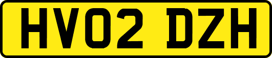 HV02DZH