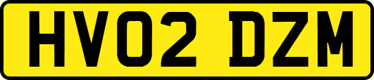 HV02DZM