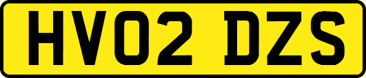 HV02DZS