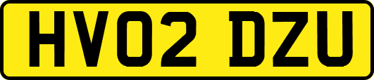 HV02DZU