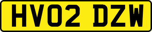 HV02DZW