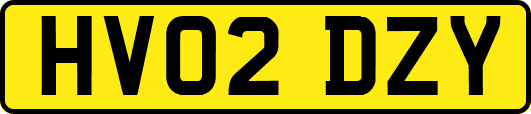HV02DZY