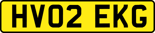 HV02EKG
