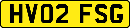 HV02FSG