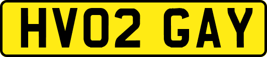 HV02GAY