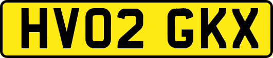 HV02GKX