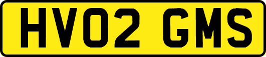 HV02GMS