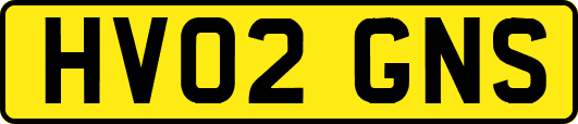 HV02GNS