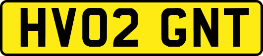 HV02GNT