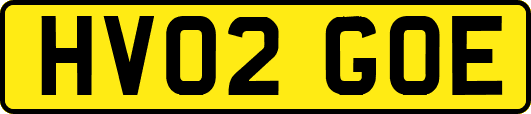 HV02GOE
