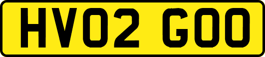 HV02GOO