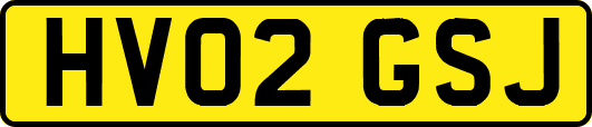 HV02GSJ