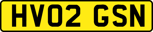 HV02GSN