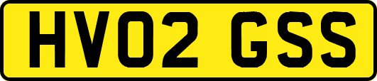 HV02GSS