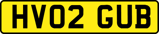 HV02GUB