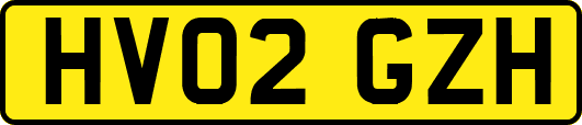 HV02GZH