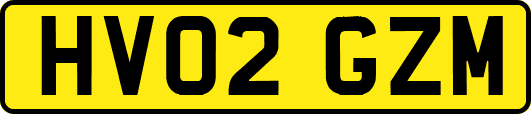 HV02GZM