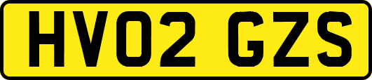 HV02GZS