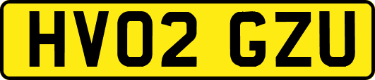 HV02GZU